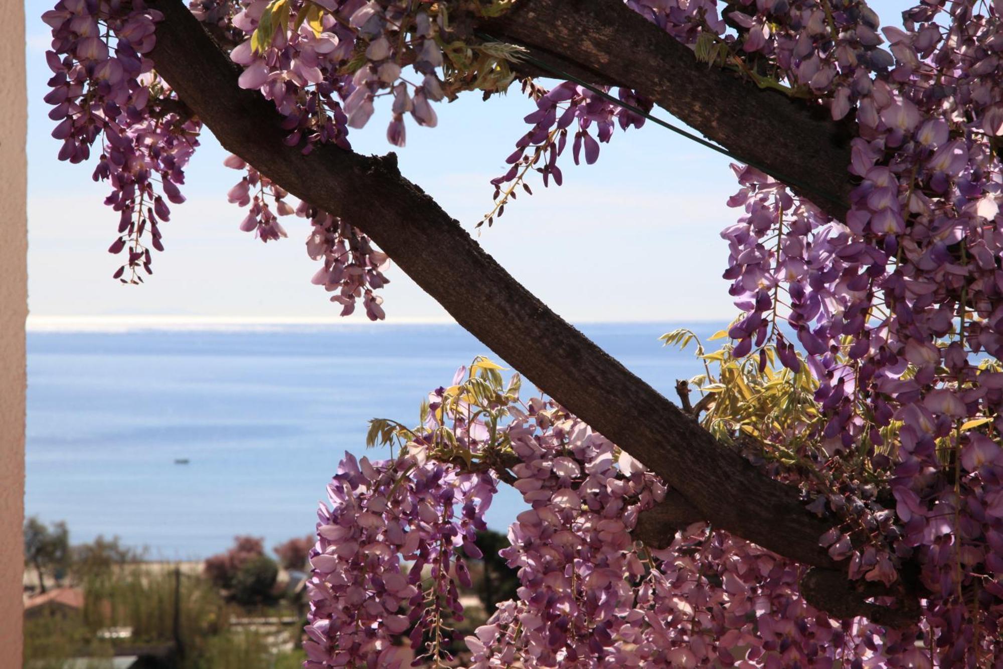 Hotel Galli - Wellness & Spa Fetovaia Buitenkant foto
