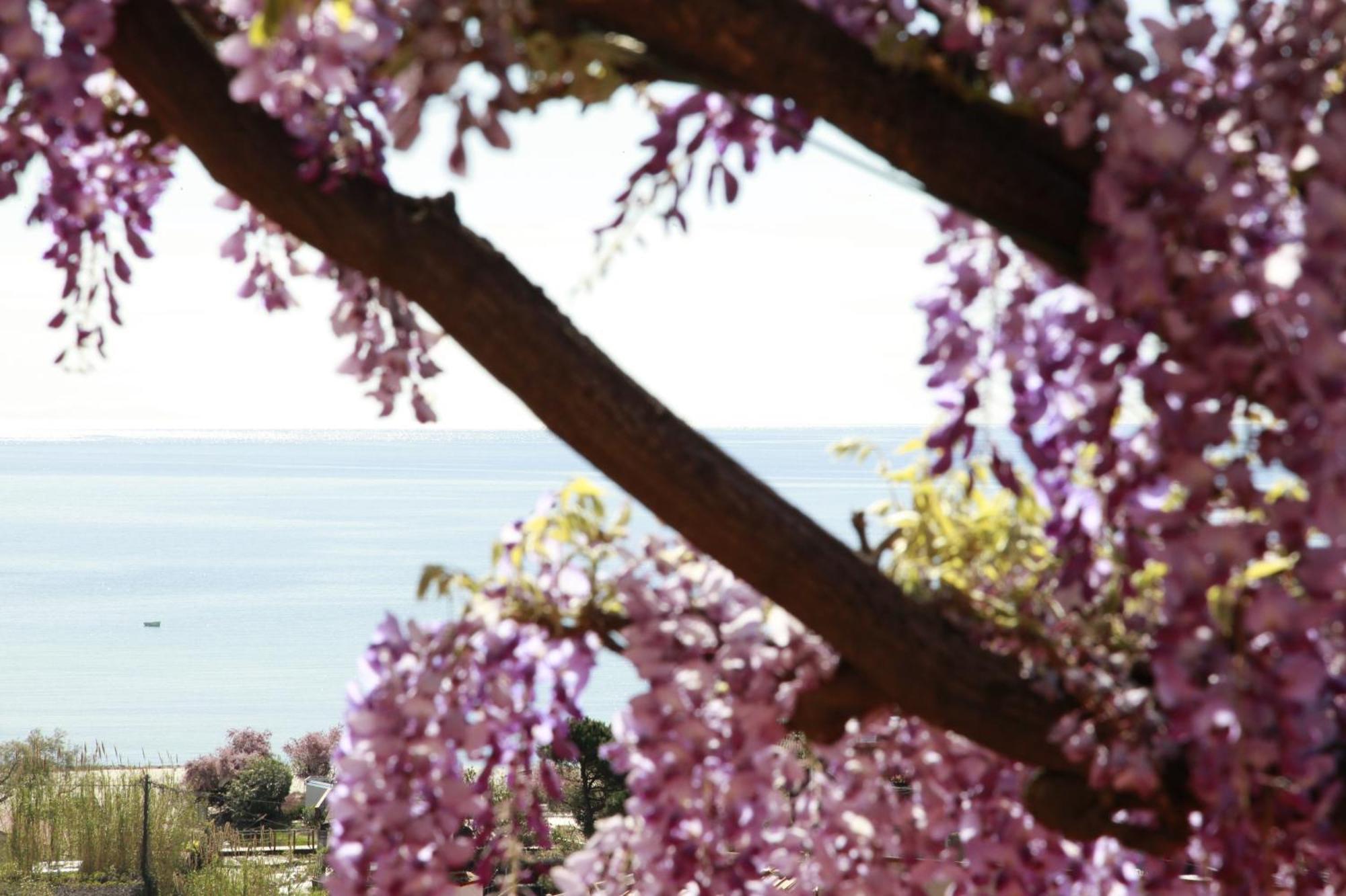 Hotel Galli - Wellness & Spa Fetovaia Buitenkant foto
